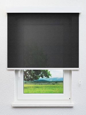 Saint-Denis 739-0ro Fensteransicht