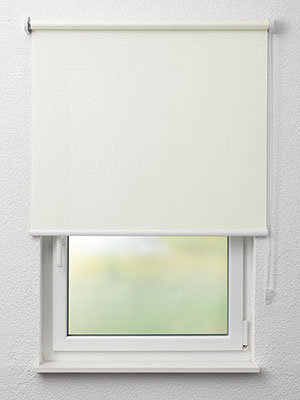 Allstedt 12.517e Fensteransicht