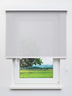 Belfort 763-1ro Fensteransicht