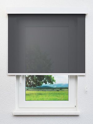 Belfort 763-2ro Fensteransicht