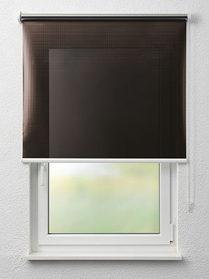 La Mure 50.009e Fensteransicht