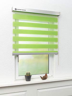 Doppelrollo Dallas 55-01ro Fensteransicht