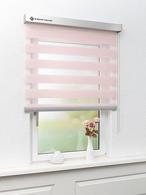 Doppelrollo Dallas 55-04ro Fensteransicht