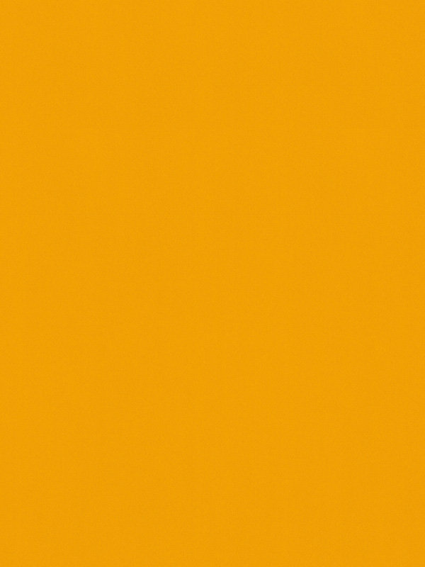 Detailansicht Perpignon 72.050e