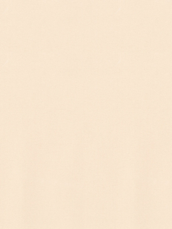 Detailansicht Rouffach 91.421e