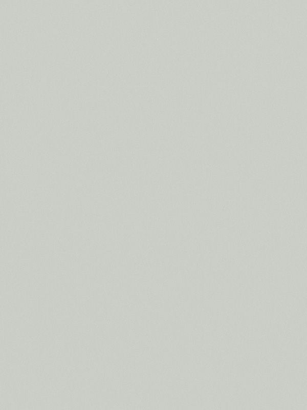 Detailansicht Canari 507-2ro