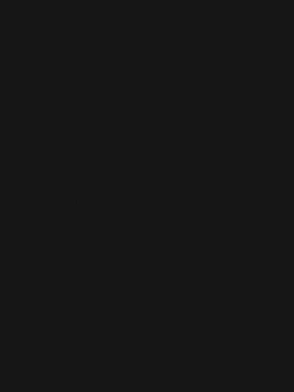 Detailansicht Canari 507-3ro