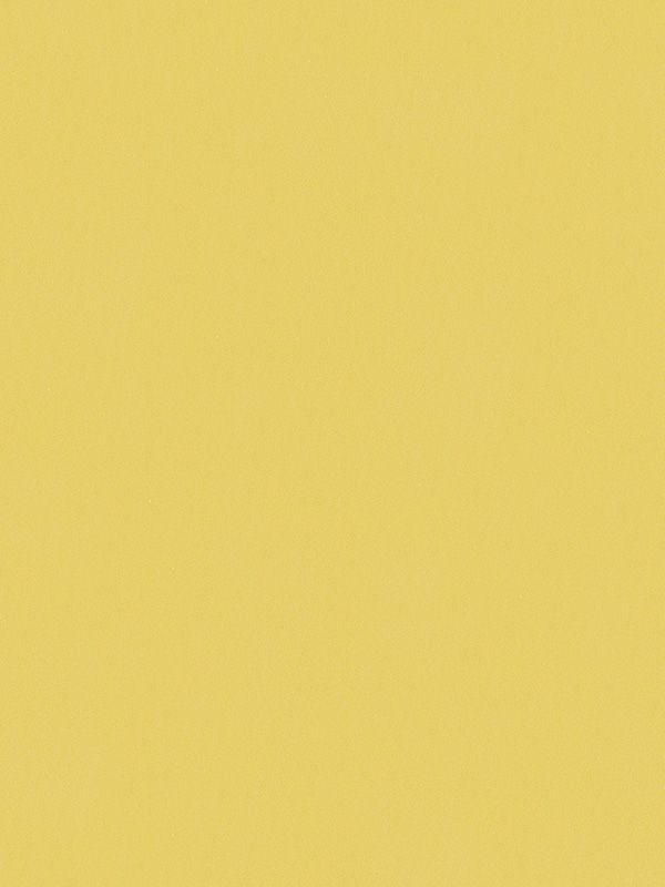 Detailansicht Canari 775-3ro