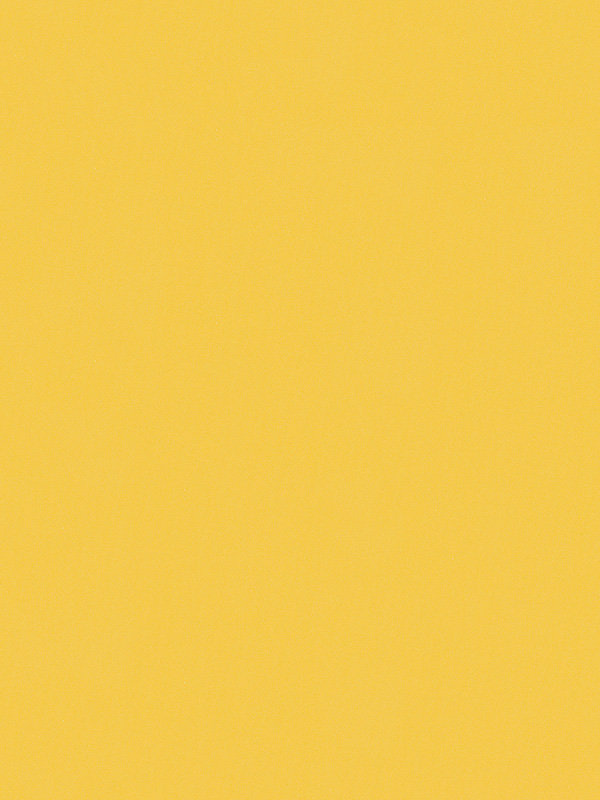 Detailansicht Canari 42.151e