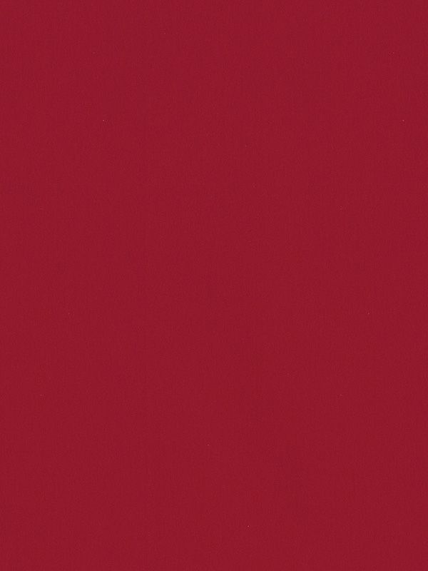 Detailansicht Canari 421-7ro