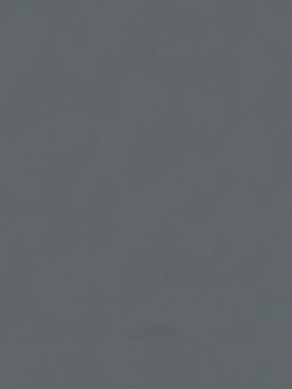 Detailansicht Daun 30.302e