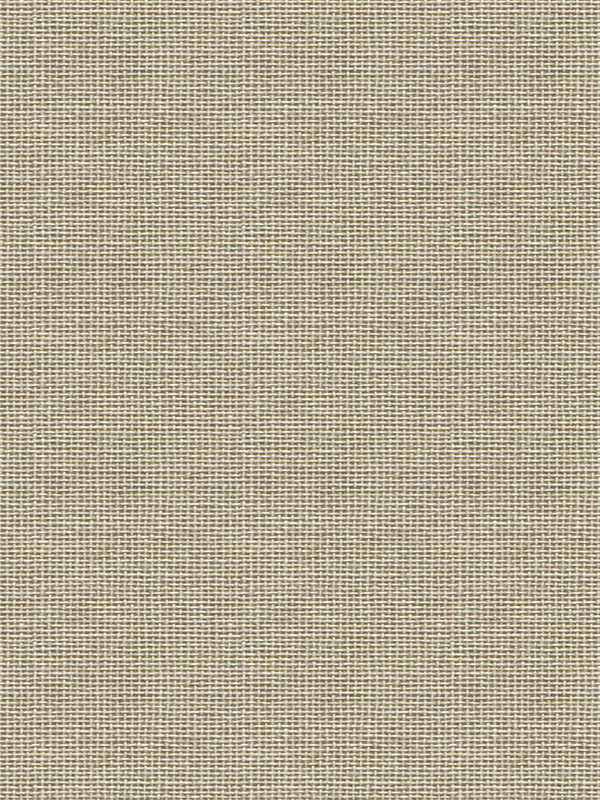 Detailansicht Asellus 202700L