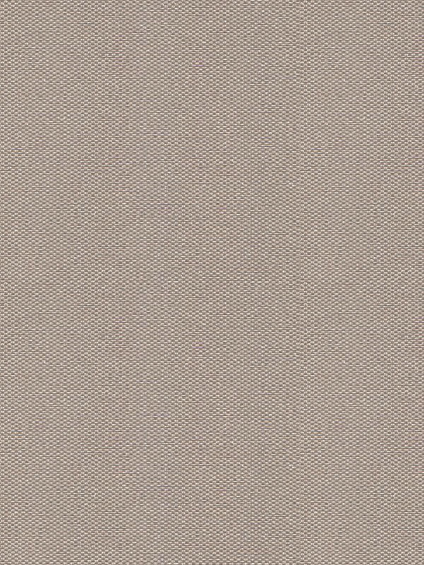 Detailansicht Asterope 702795L