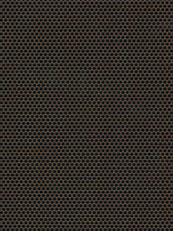 Detailansicht Canopus 702818L