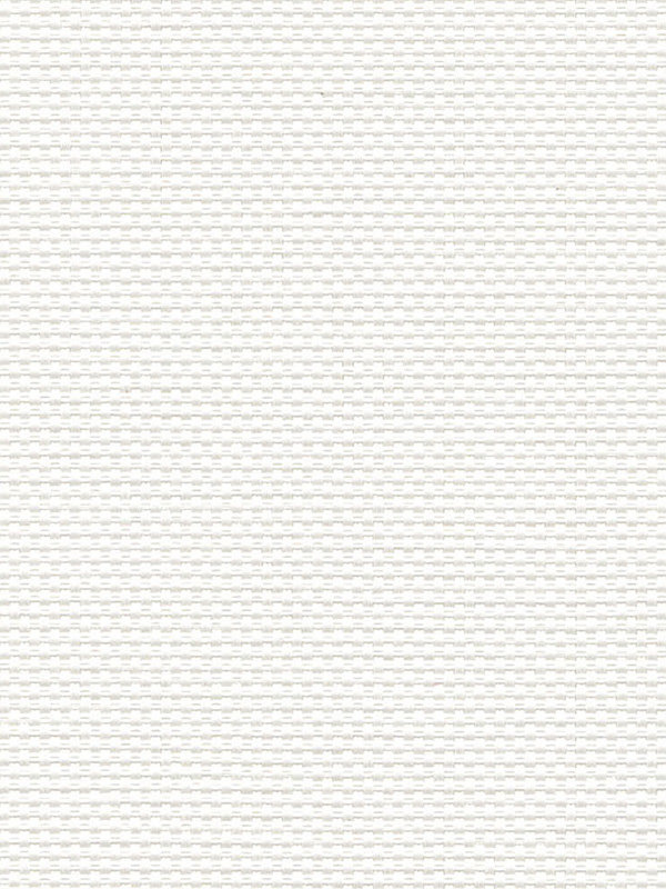 Detailansicht Canopus 102819L