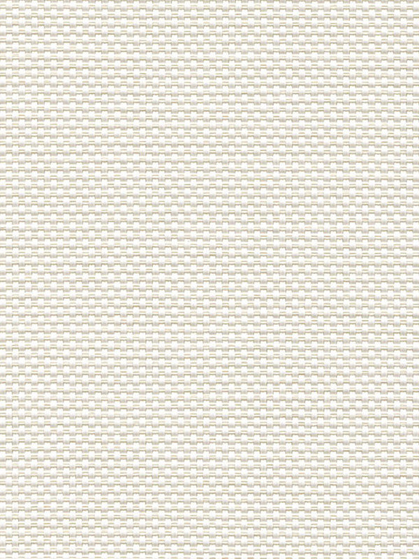 Detailansicht Canopus 202820L