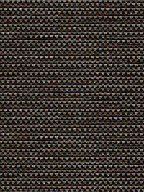 Detailansicht Canopus 702834L