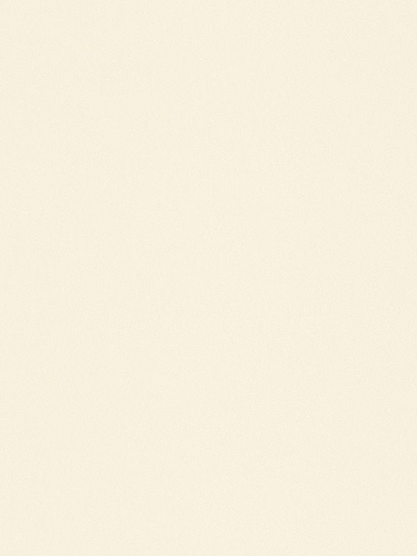 Detailansicht Saint Nic 811-0ro