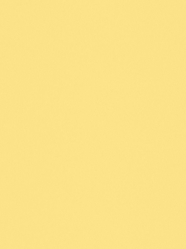 Detailansicht Saint Nic 811-2ro