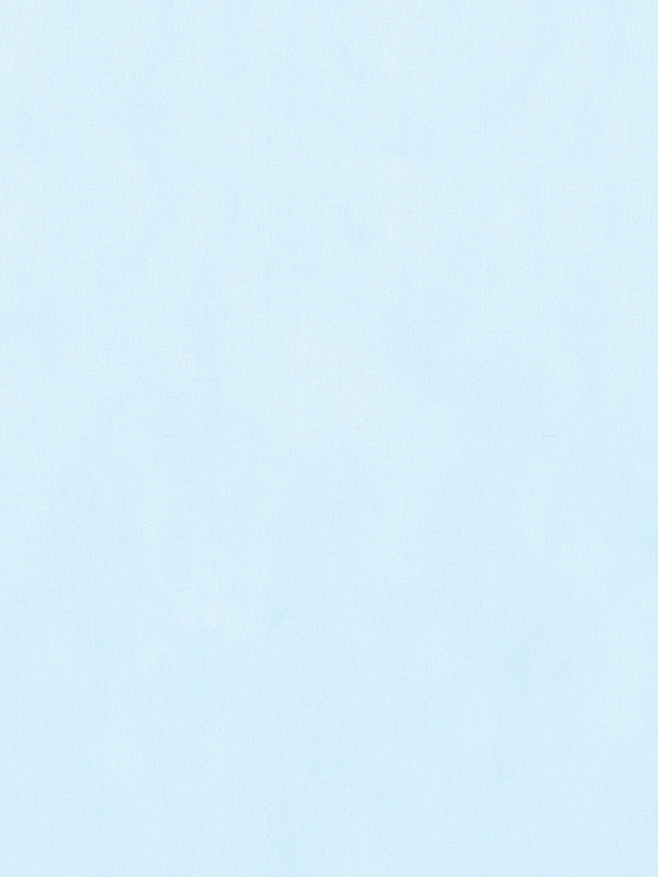 Detailansicht Vezelay 36.814e