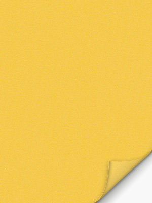 Canari 42.151e Detailansicht