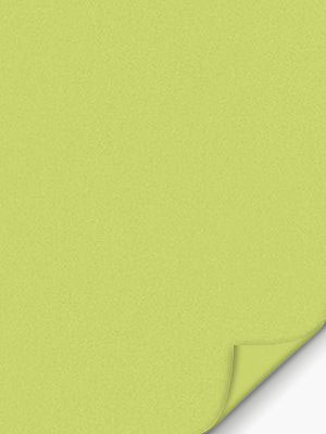 Canari 775-6ro Detailansicht