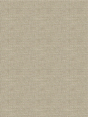 Asellus 202700L Detailansicht