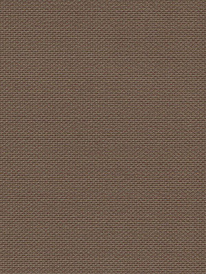 Ceginus 702731L Detailansicht