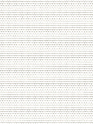 Canopus 102811L Detailansicht