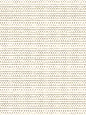 Canopus 202812L Detailansicht