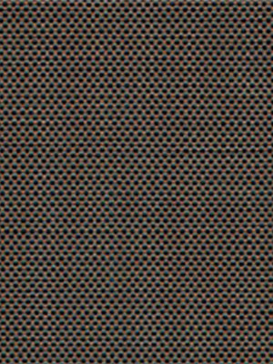 Canopus 702826L Detailansicht